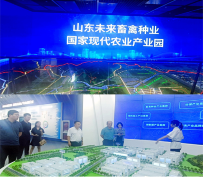 2024，循道而行——濟南公共資源交易中心鋼城分中心公共資源交易運行技術服務